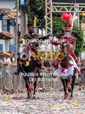 Detalhes da foto #60324