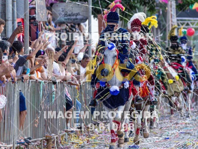 Detalhes da foto #41305