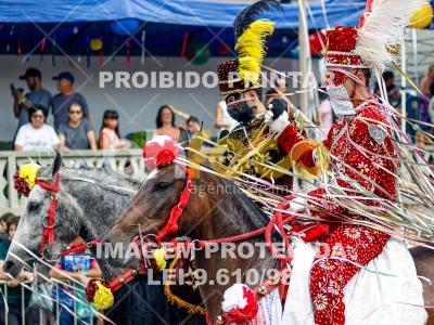 Detalhes da foto #29087