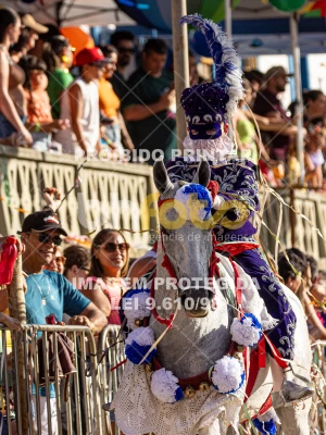 Detalhes da foto #72302