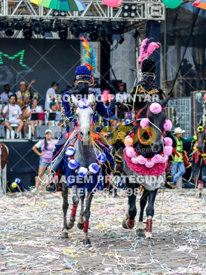 Detalhes da foto #88765