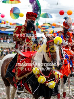 Detalhes da foto #69281