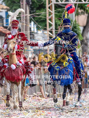 Detalhes da foto #26818