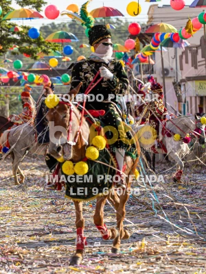 Detalhes da foto #80286