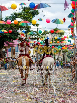 Detalhes da foto #84556