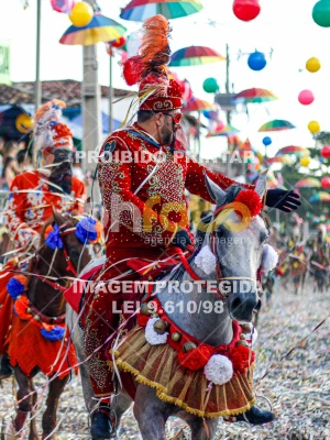 Detalhes da foto #13766