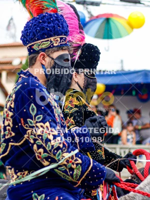 Detalhes da foto #56408