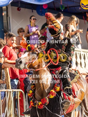 Detalhes da foto #56273