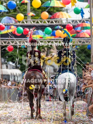 Detalhes da foto #45233