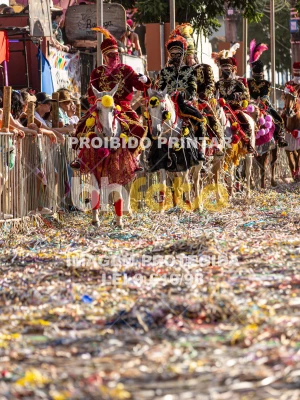 Detalhes da foto #70337