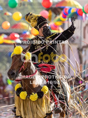 Detalhes da foto #34538