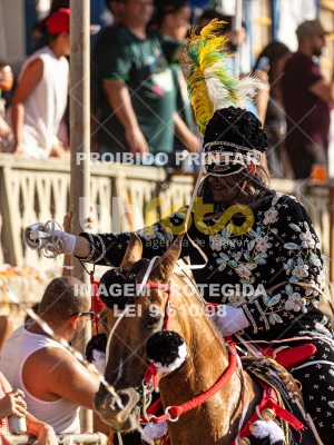 Detalhes da foto #56354