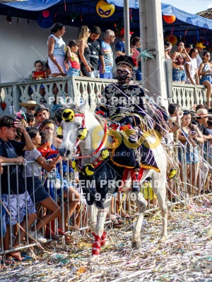 Detalhes da foto #32222