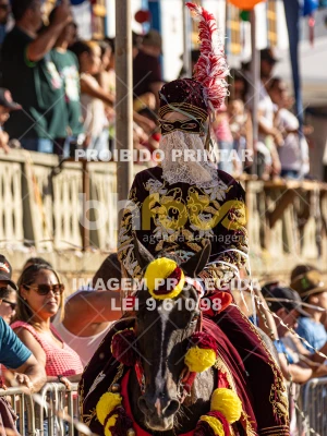 Detalhes da foto #10667