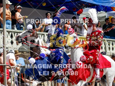 Detalhes da foto #54821