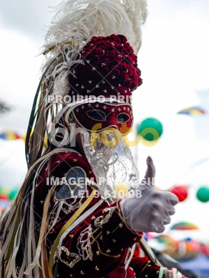 Detalhes da foto #11254