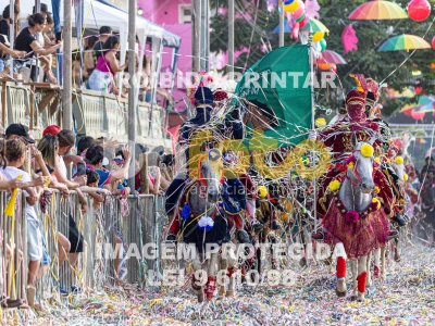 Detalhes da foto #28036