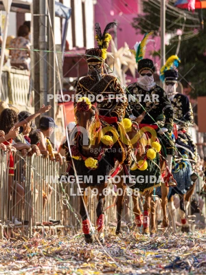 Detalhes da foto #94155