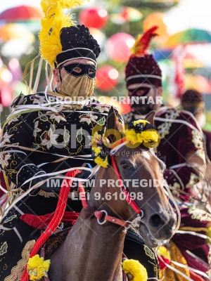 Detalhes da foto #45523