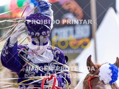 Detalhes da foto #98697