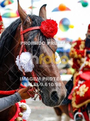 Detalhes da foto #81827