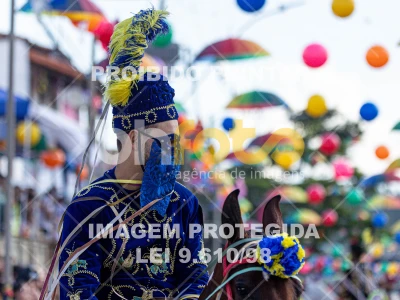 Detalhes da foto #39655