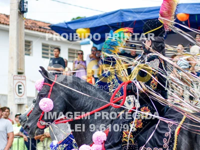 Detalhes da foto #98059