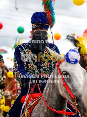 Detalhes da foto #93385