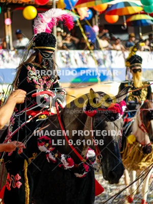 Detalhes da foto #63294