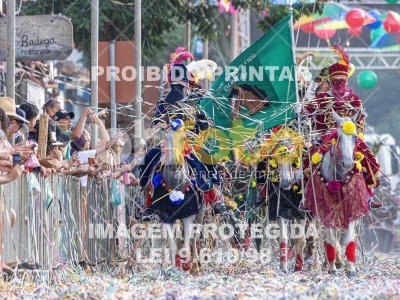 Detalhes da foto #25964