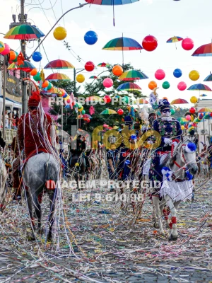 Detalhes da foto #19576