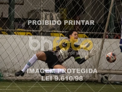 Detalhes da foto #3149047