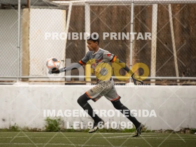 Detalhes da foto #8352591