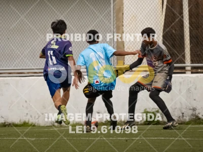 Detalhes da foto #8275300